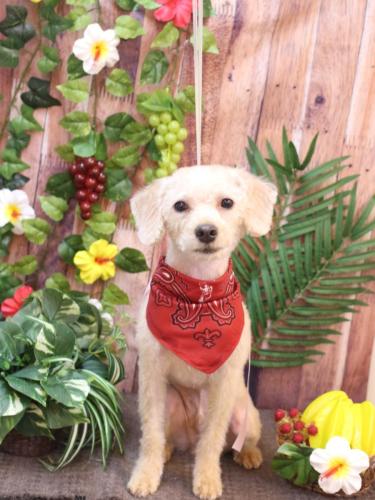 20230812ジャコくん